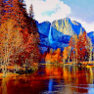 Meet your Posher, Morgan